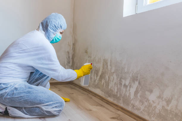 Professional mold removal team in Lottsburg